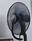 Pedestal fan