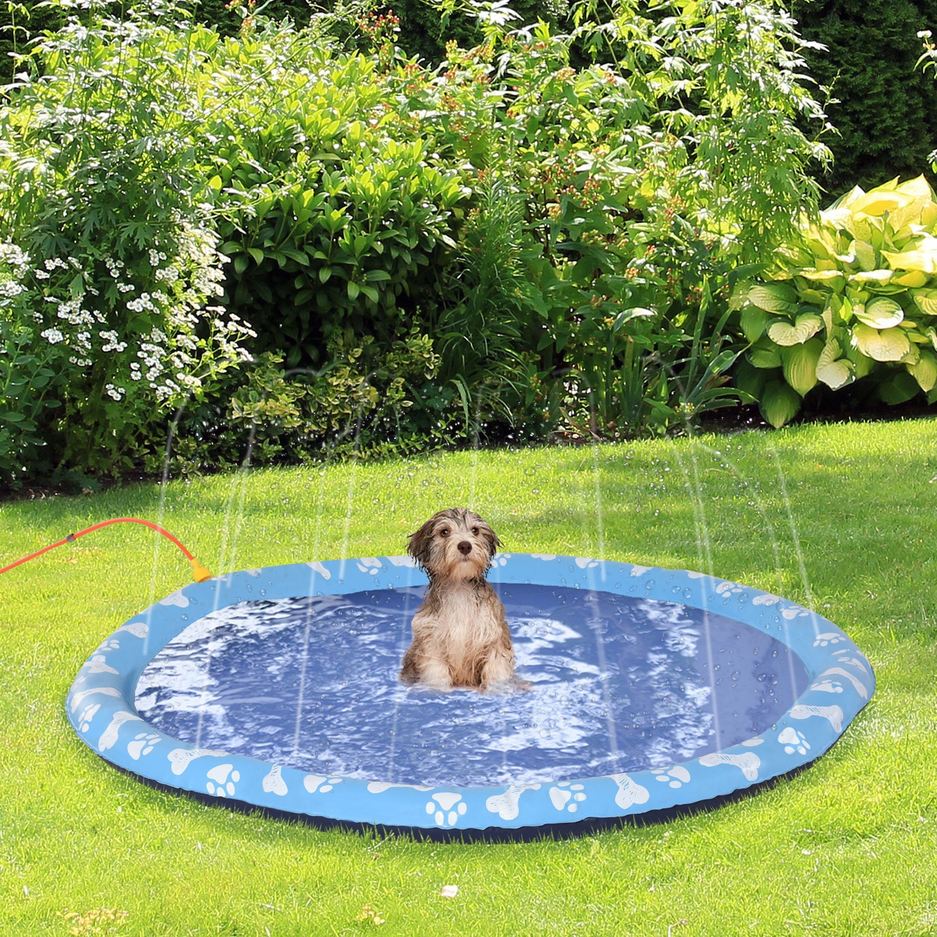 Hundebecken, Planschbecken, mit Wasserstrahl