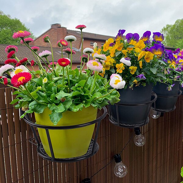 Hanging Flower Pot Holder | 50% discount